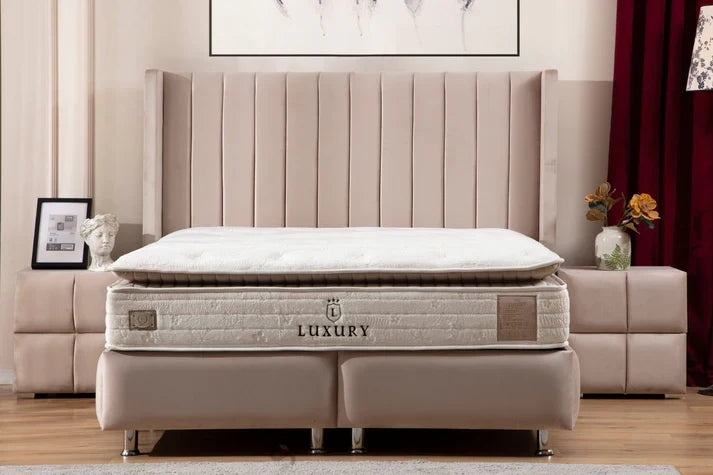 https://cdn.shopify.com/s/files/1/0700/7204/1739/files/135.webp?v=1749296045