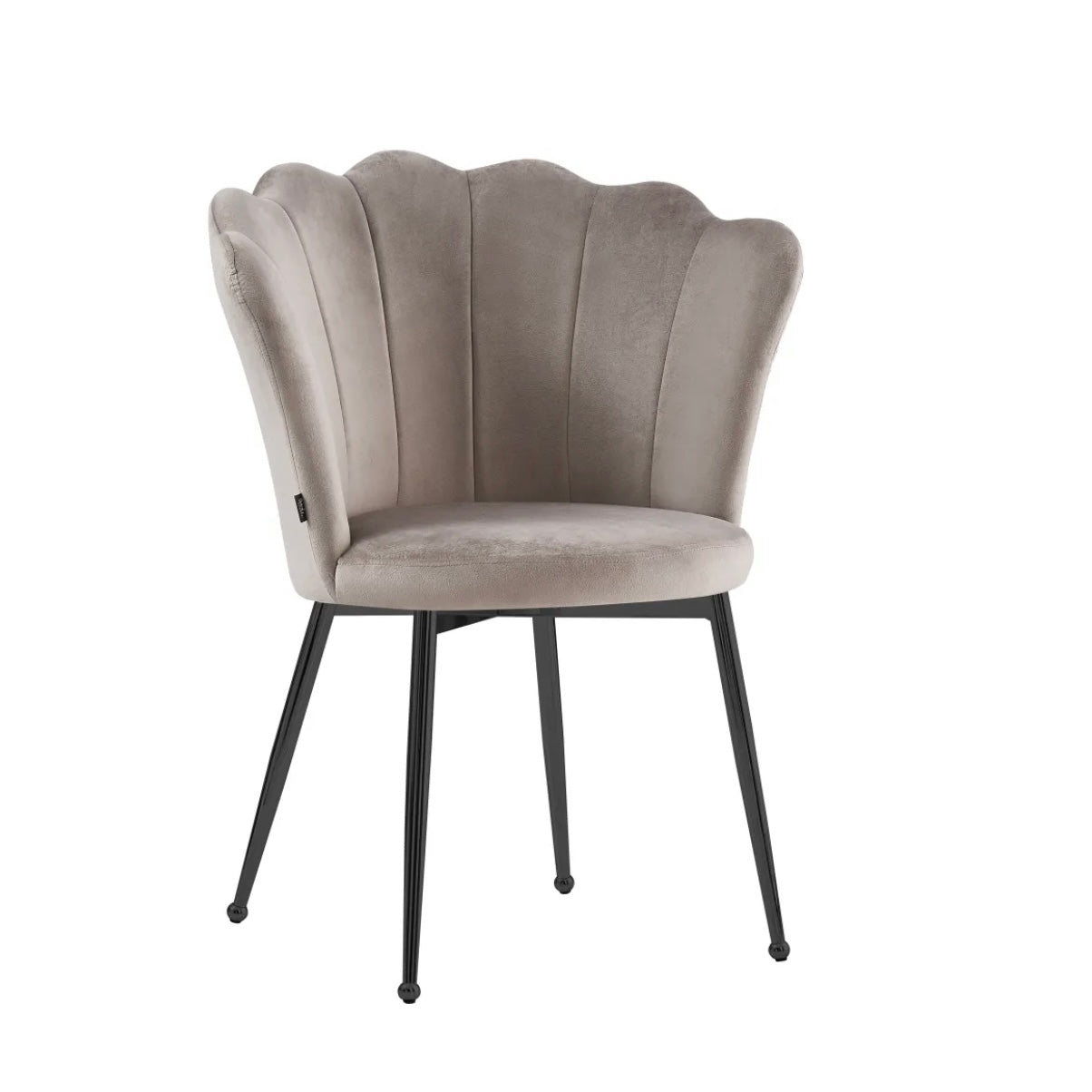 https://cdn.shopify.com/s/files/1/0700/7204/1739/files/FullSizeRender_083272e9-d6a8-45f5-84a5-309c9b873a05.jpg?v=1698315328