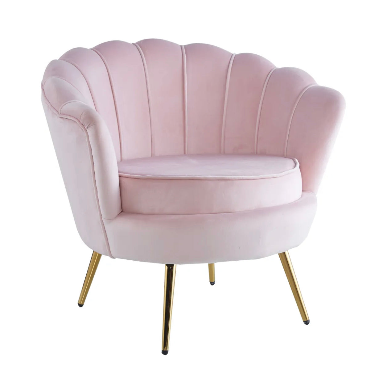 https://cdn.shopify.com/s/files/1/0700/7204/1739/files/FullSizeRender_5b6c8b3d-61ff-46e6-9f39-1a7c55c548bb.jpg?v=1697644043