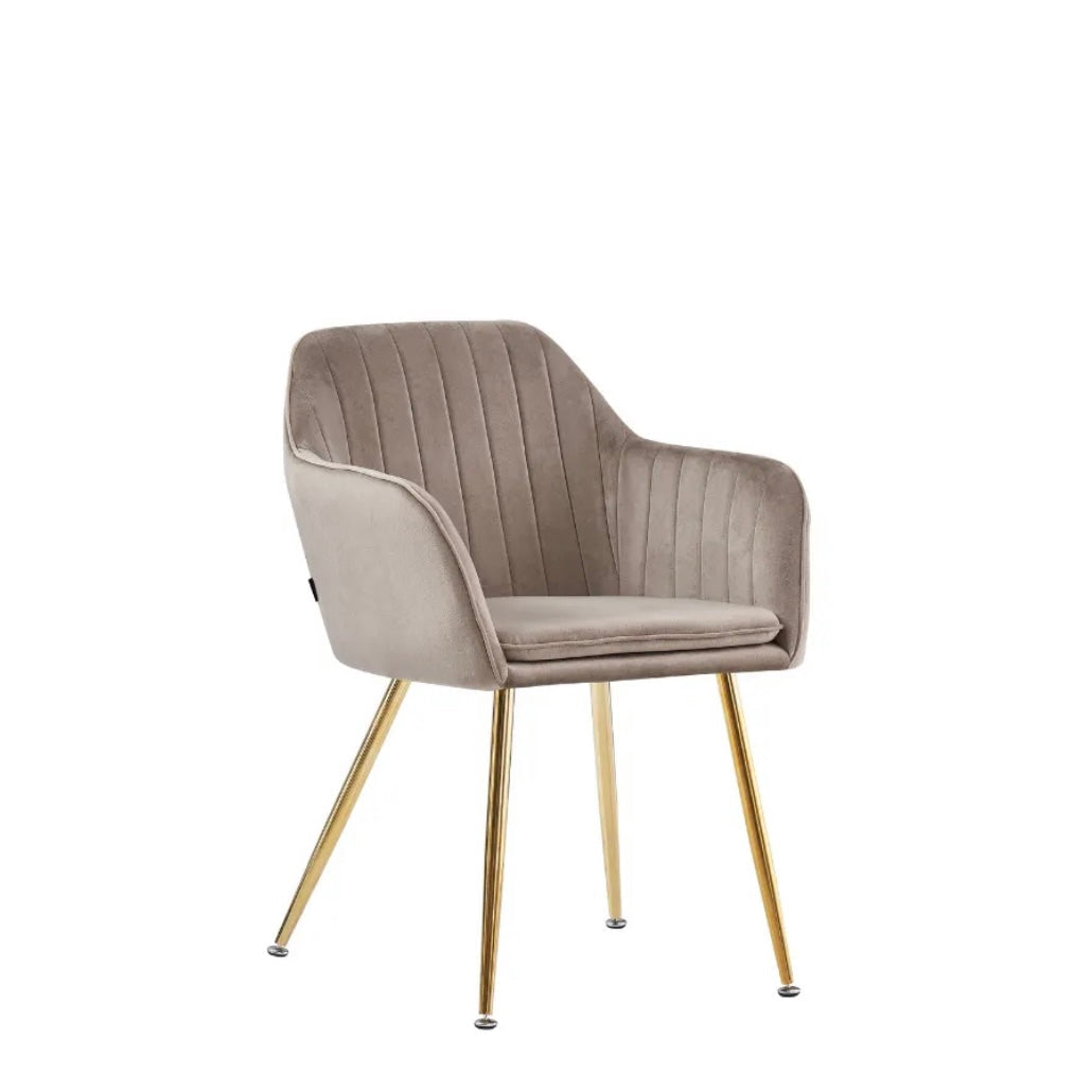 https://cdn.shopify.com/s/files/1/0700/7204/1739/files/FullSizeRender_646e8eed-4a1d-4c53-a4af-5d4c8f87becb.jpg?v=1698319383