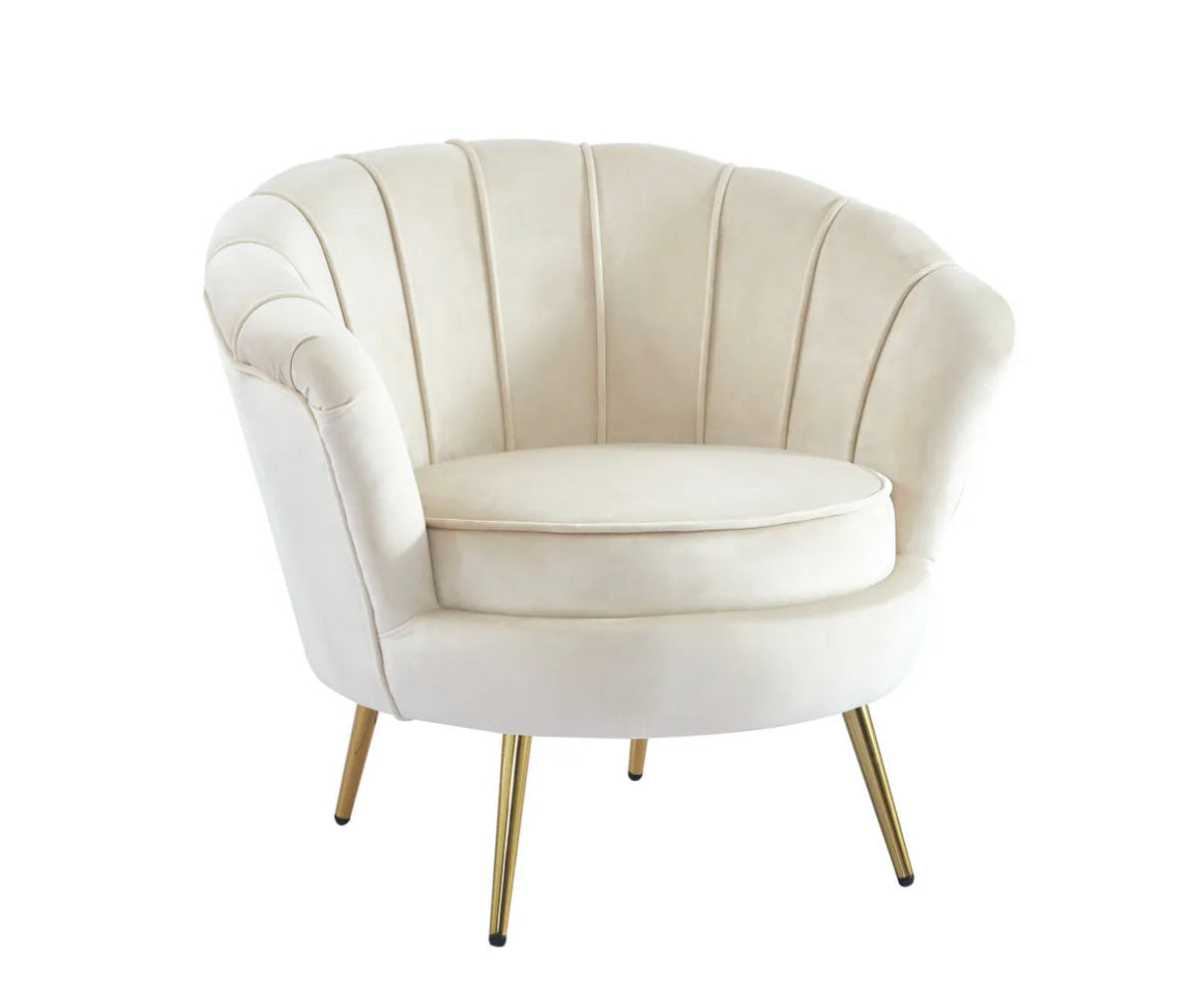 https://cdn.shopify.com/s/files/1/0700/7204/1739/files/FullSizeRender_8d210dcb-d97e-4e39-b312-35a412e84f09.jpg?v=1697644042