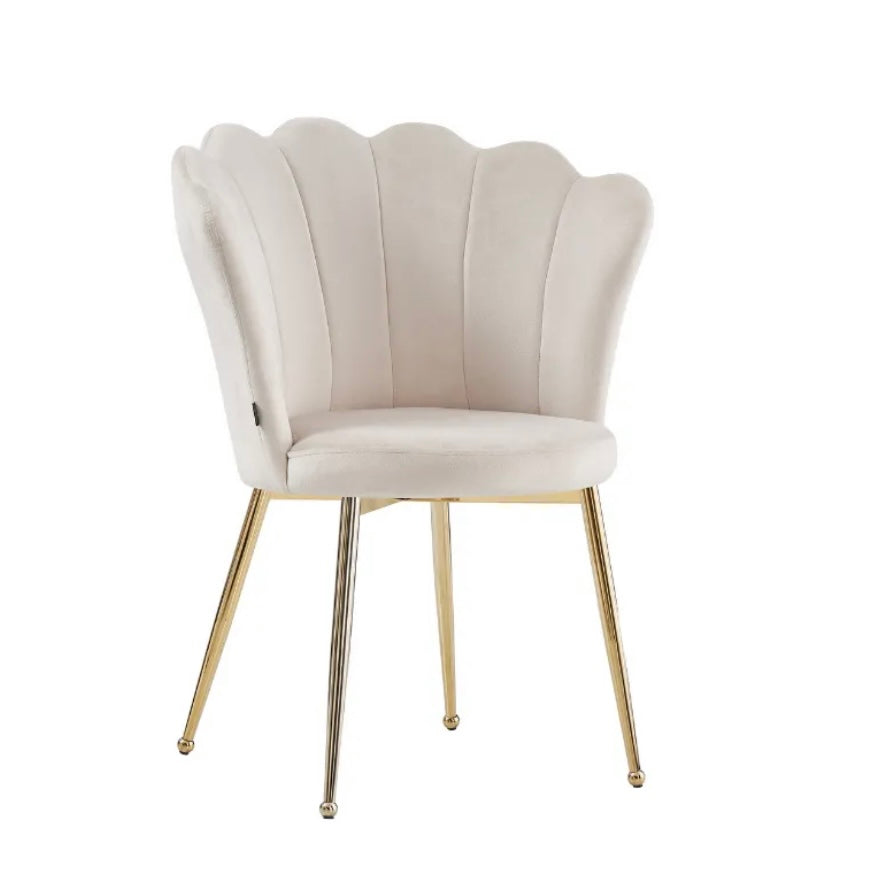 https://cdn.shopify.com/s/files/1/0700/7204/1739/files/FullSizeRender_8df5531a-f98a-4272-a87f-1957192af8c2.jpg?v=1698315324