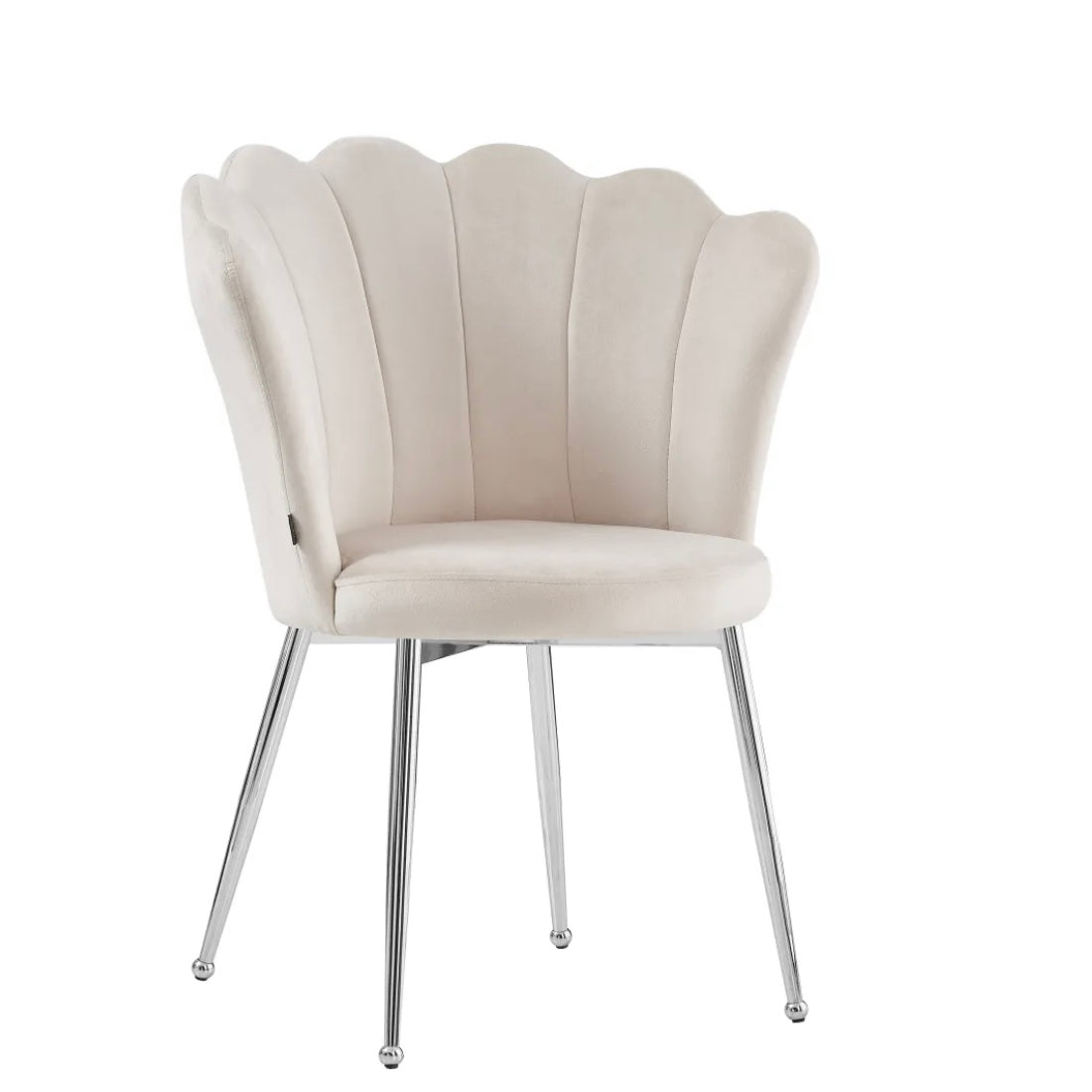 https://cdn.shopify.com/s/files/1/0700/7204/1739/files/FullSizeRender_8fd814ef-8502-4311-b52d-4820e4e226d0.jpg?v=1698315326