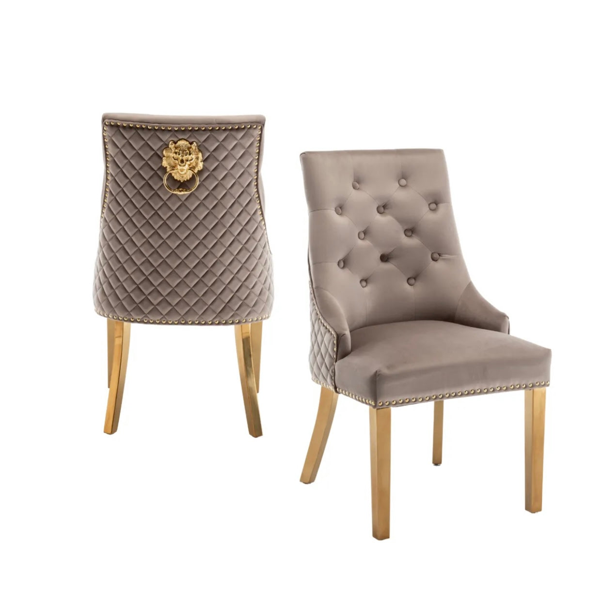 https://cdn.shopify.com/s/files/1/0700/7204/1739/files/FullSizeRender_97faf2d9-690a-4a24-8d34-3b8702ad2e94.jpg?v=1698330569