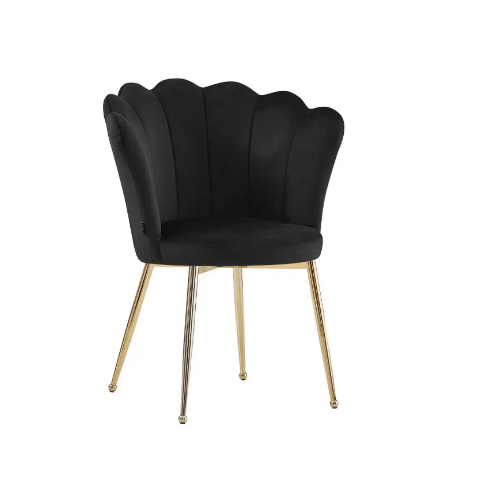 https://cdn.shopify.com/s/files/1/0700/7204/1739/files/FullSizeRender_c1f083f6-8fe2-4b08-8aa0-3ce181e610fe.jpg?v=1698315323