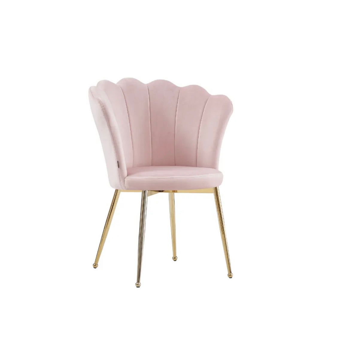 https://cdn.shopify.com/s/files/1/0700/7204/1739/files/FullSizeRender_c4cdbdf7-73f8-4aa2-84b5-3775ad4a82bc.jpg?v=1698315327
