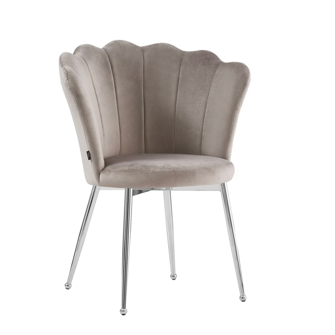 https://cdn.shopify.com/s/files/1/0700/7204/1739/files/FullSizeRender_c64d4dc2-f369-4f87-9658-b885c05b0f3d.jpg?v=1698315327