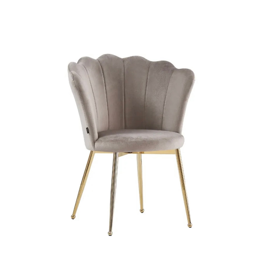 https://cdn.shopify.com/s/files/1/0700/7204/1739/files/FullSizeRender_d84a7867-58e6-4472-a8fd-c4ac68853371.jpg?v=1698315324