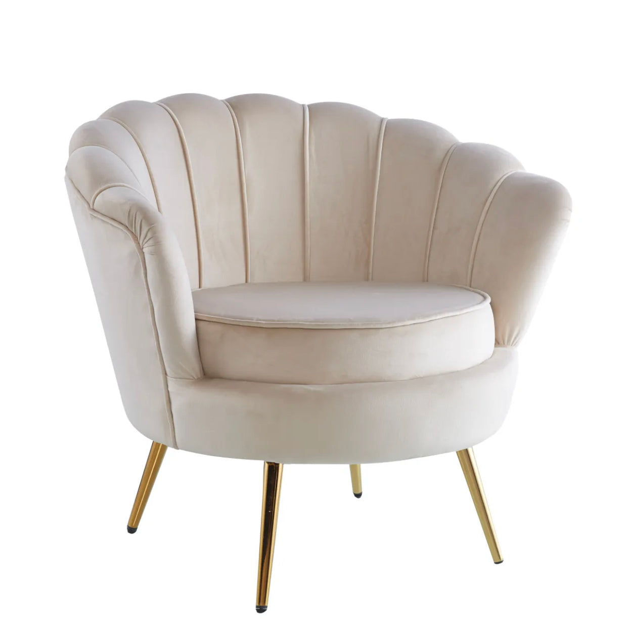 https://cdn.shopify.com/s/files/1/0700/7204/1739/files/FullSizeRender_da7cb023-9ce9-42fb-a239-224f84005a10.jpg?v=1697644042