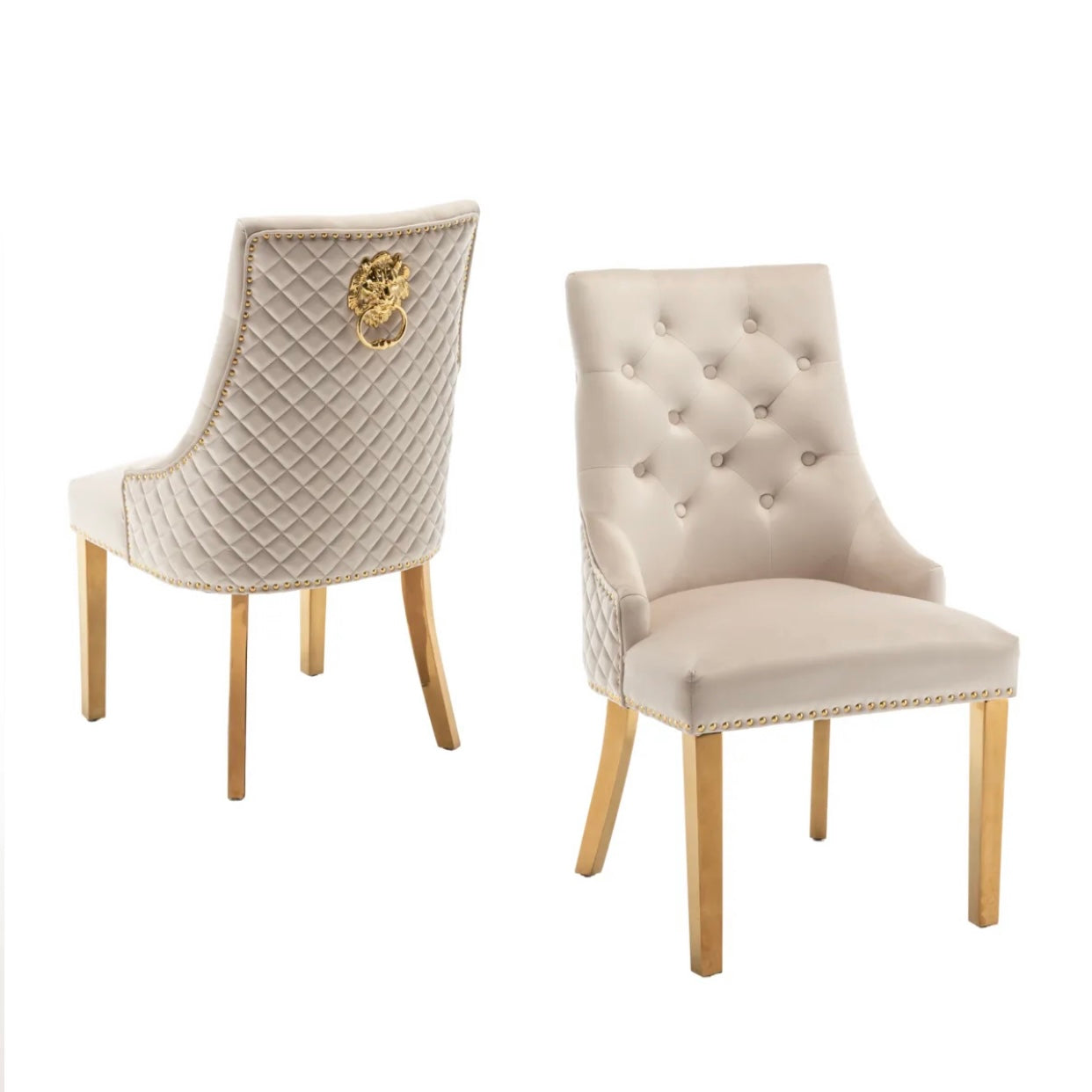 https://cdn.shopify.com/s/files/1/0700/7204/1739/files/FullSizeRender_ef9899fc-3636-4381-9618-818e92cd50ea.jpg?v=1698330568