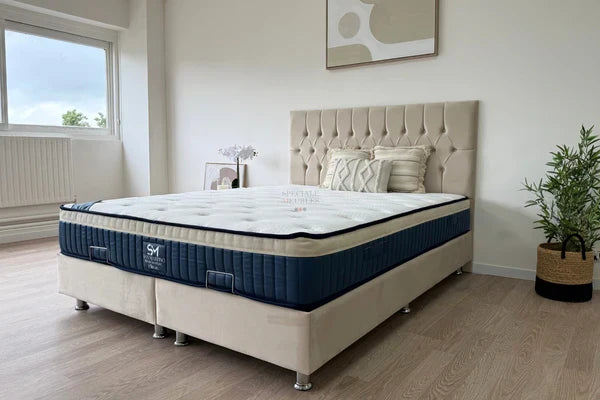 Lit coffre Hugo velours chic
