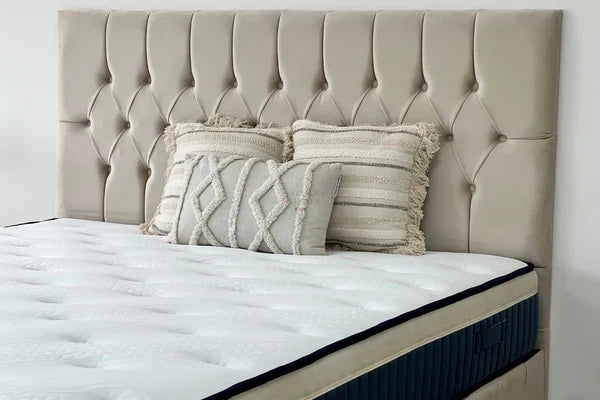 Lit coffre Hugo velours chic