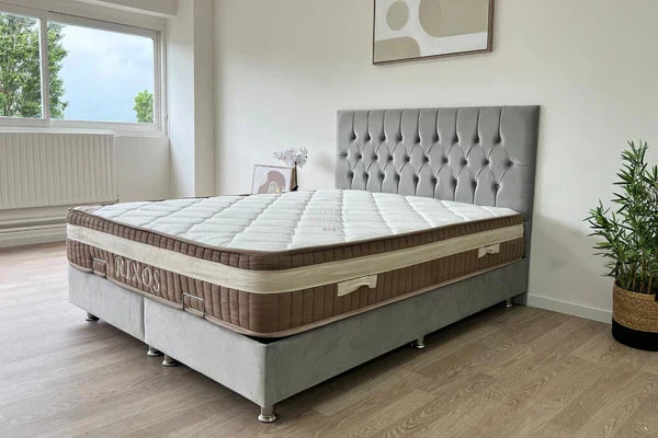 https://cdn.shopify.com/s/files/1/0700/7204/1739/files/Photos_SITE_2025_28_d787e475-7faf-4b99-906b-f8be29801a3c.webp?v=1749294948