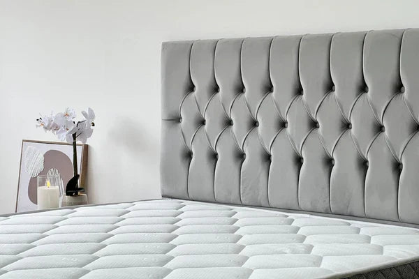 Lit coffre Hugo velours chic